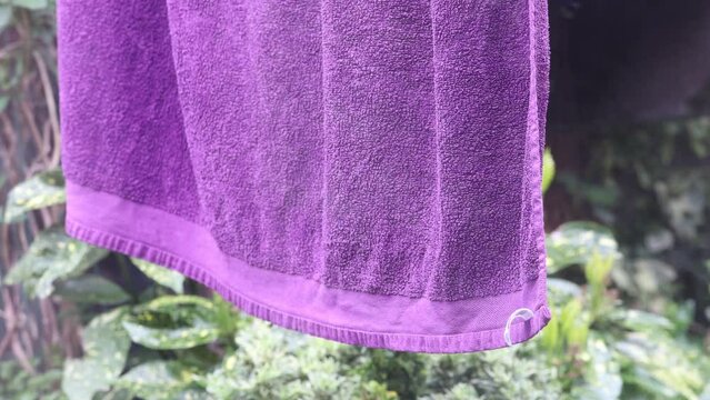 puple towel blowing in the wind, 50 fps