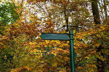 Blank green sign in autumn forest
