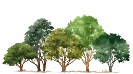 Zelfklevend Fotobehang Vector watercolor of tree side view 2 isolated on white background for landscape  © Sakura