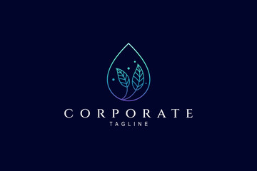 Water drop logo with natural leaf inside is suitable for healthcare, natural products, and herbs