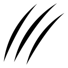 Animals claw scratches. Wild animals concept. Vector illustration