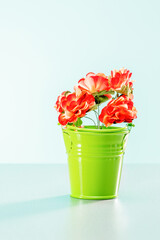 Creative spring concept made with  garden flowers in green pot.