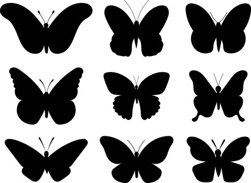 butterfly silhouette set, isolated, vector