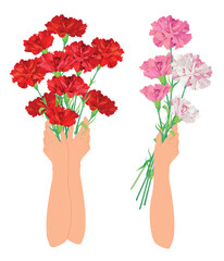 Bouquet of red and pink carnations in hands. Postcard for Mother's Day or Parents' Day. Flowers as a gift to beloved parents as a sign of respect and gratitude. Thank you dear person.