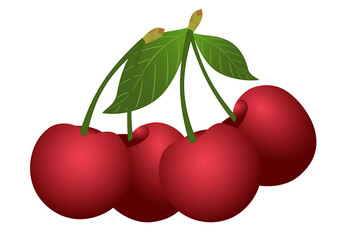 cherry with leaves