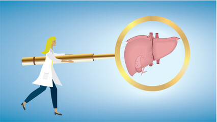 Woman, doctor with on big magnifying glass , focus, looking at liver, iecur. Liver cirrhosis, dysfunction. Dimension 16:9. Vector illustration.