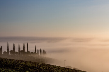 Picturesque misty morning with thick fog over the valley in Tuscany, Italy. Row of cypress trees makes all look like a fairy-tale.