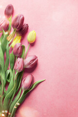 Tulips bunch on pink background with bokeh, top view. Border