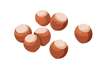 Hazelnut, hard shelled filberts. Whole scattered cobnuts composition. Fresh raw dry hazel nuts. Healthy ripe fruits. Flat vector illustration isolated on white background