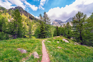 Fototapeta premium Mercantour National Park in France