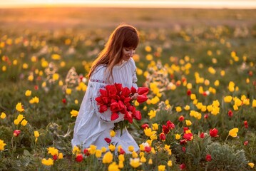 Woman field tulips sunset. Woman against sunset and wild tulip flowers, natural seasonal background. Multi-colored tulips Tulipa schrenkii in their natural habitat are listed in the Red Book.