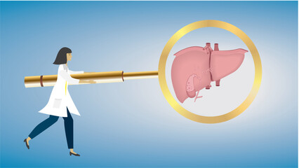 Woman, doctor with on big magnifying glass , focus, looking at liver, iecur. Liver cirrhosis, dysfunction. Dimension 16:9. Vector illustration.