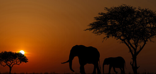 Fototapeta na wymiar Silhouettes of african wild animals at sunset. Evening in African savanna.