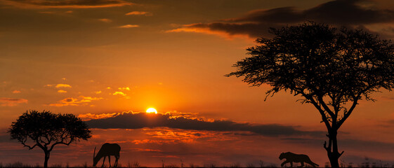 Silhouettes of african wild animals at sunset. Evening in African savanna.