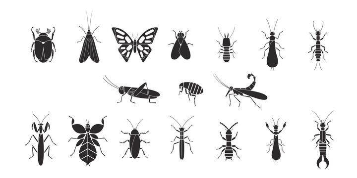 Insects orders geometric icons set. Vector illustration