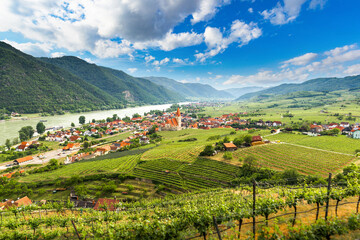 Scenic spring view to Wachau valley with the river Danube and town Weissenkirchen. Austria.