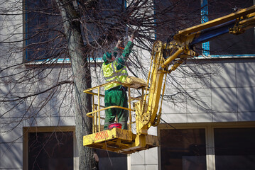 Arborist cut tree branches with chainsaw in truck mounted lift platform. Worker pruning tree,...