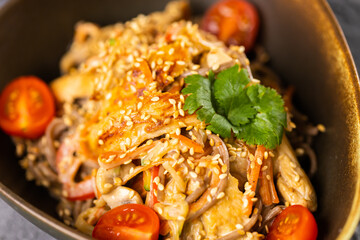 Udon stir-fry noodles with meat and vegetables. Asian cuisine