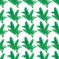 Hand drawn banana palmtree seamless pattern. Isolated on white background. Can be used for textile and gift-wrapping.