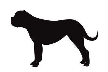 Vector silhouette of American Pit Bull Terrier on white background.