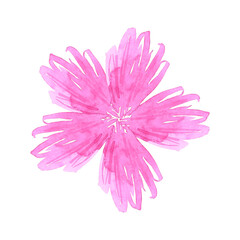 Pink abstract daisy. Hand drawn watercolor isolated on white background. Can be used for cards, patterns, label.