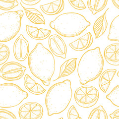 Citrus fruits. Lemon. Vector  pattern