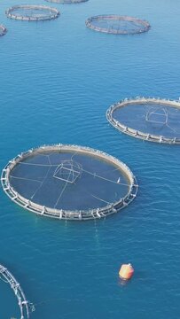 Aerial view over large fish farm with lots of fish enclosures. Vertical shot