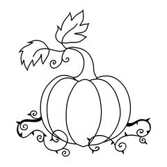 Pumpkin icon vector. Halloween illustration sign.