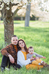 Naklejka na ściany i meble Happy young family with little son walks in blooming garden. Mom and dad with 1 year old baby. Spring.