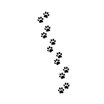 Jaguar footprints silhouette