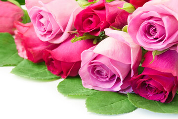 Bouquet of red and pink roses close up on white background