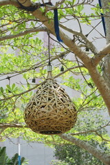 bird nest lamp on tree