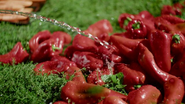 Close-up of female hands washing red kapia peppers with water hose