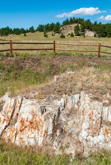 Florissant Formation at Florissant Fossil Beds National Monument