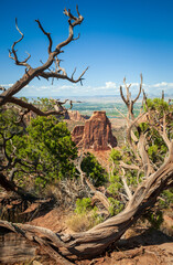 Overlook at Colorado National Monument