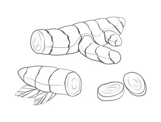 Turmeric outline illustration set. Line art vector root, slices and leaves isolated on white background. Black and white flat illustration.