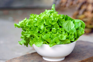 Leafy greens or lettuce in white bowls that are commonly used in salads or eaten fresh. Healthy food concept.