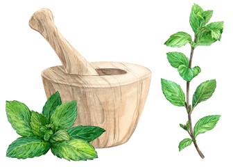 Wooden mortar and sprig of mint. Watercolor illustration in a rustic style. The concept of a home laboratory for the production of tea, herbal medicines. © Tata Pilip