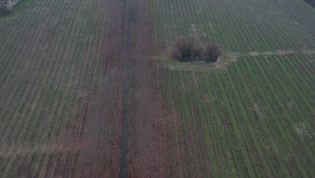 La Pusterla wine farm in Castell Arquato Emilia Romagna Italy aerial drone video