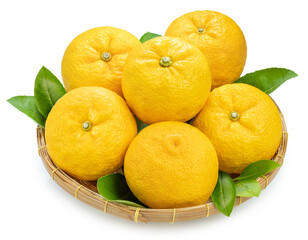 Kochi Yuzu orange isolated on white background With work path, Yellow Yuzu Orange fruit isolated on white background.