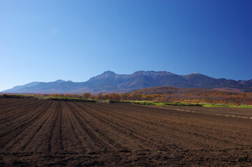 収穫の終わった高原野菜畑と秋の八ヶ岳連邦