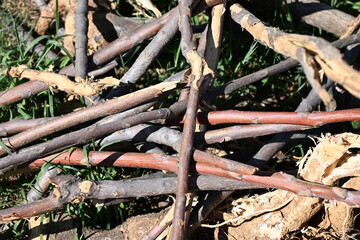 Branches of olive wood on a pile. 
