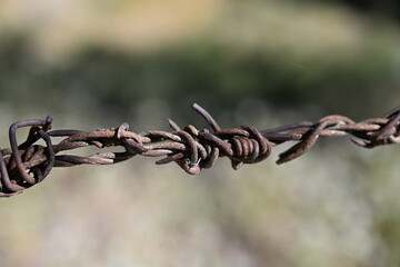 Twisted, rusty barbed wire in front of a blurred, green background.