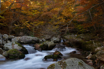 本谷川渓谷の晩秋