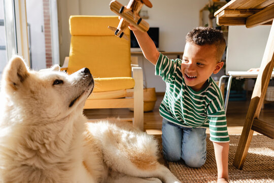 Cute boy playing with dog at home