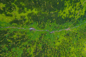 A small stream flowing out of the top of the Carpathian Mountains, general view from the drone.