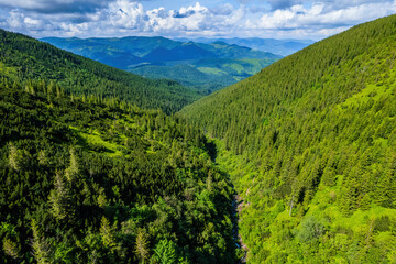Idyllic landscape in the Alps with fresh green meadows and blooming flowers