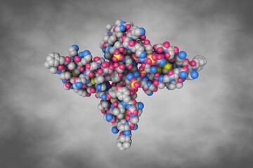 Human beta-defensin-1. Space-filling molecular model on gray background. Scientific background. 3d illustration