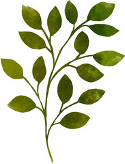 green leaf watercolor png