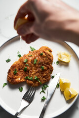 Baked Chicken Schnitzel on white plate with lemon. Rack or grid with baked schnitzel in breadcrumbs on background. 